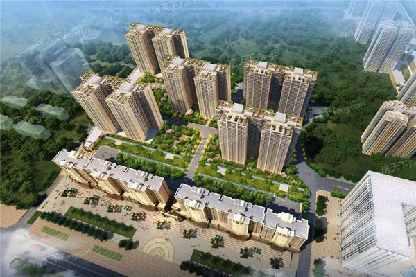 1740545322839267.jpg 11.jpg