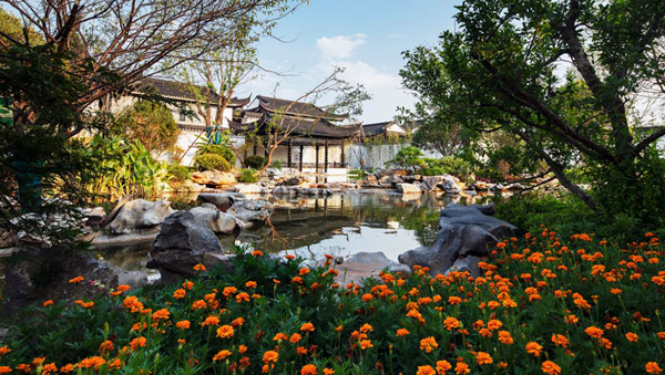 1741490088827583.jpg 11.jpg