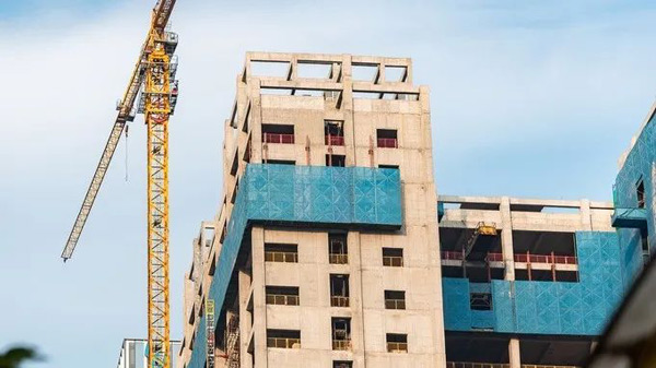 1742264977234838.jpg 11.jpg